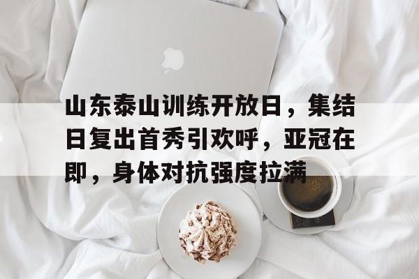 ayx-山东泰山训练开放日，集结日复出首秀引欢呼，亚冠在即，身体对抗强度拉满的简单介绍